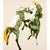 Photorealism Fighting Horses Limited Edition Serigraph by Fran Bull, Photorealist Circa 1980 For Sale - Image 3 of 9