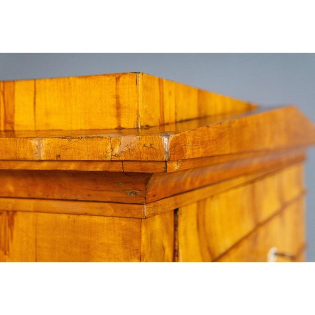 Biedermeier Birch & Elm Secretary For Sale - Image 16 of 18