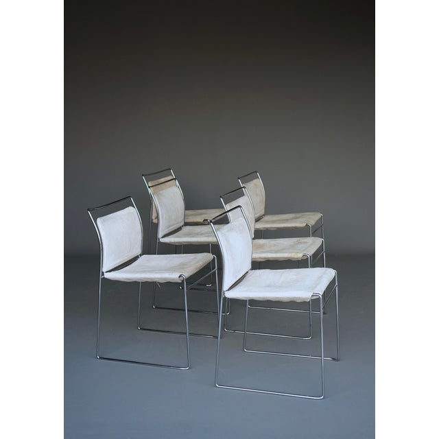 x6 Model ‘Tulu’ dining chairs. Simon (Gavina/Simon International). 1960s. Chromed slender steel rod frames, with...