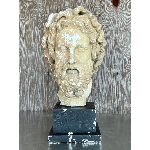 Mid 20th Century Vintage Grand Tour Plaster Bust of Man For Sale - Image 11 of 12