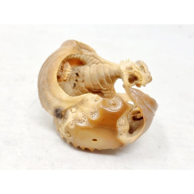 2010's Hand Carved Tagua Nut Dragon - 2-1/2" X 3" - Figurine - Vegetable Ivory For Sale - Image 11 of 14