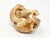 2010's Hand Carved Tagua Nut Dragon - 2-1/2" X 3" - Figurine - Vegetable Ivory For Sale - Image 11 of 14