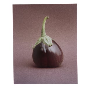 Eggplant Still lIfe Photograph by Garo For Sale
