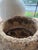 Vintage Concrete Planter, France For Sale - Image 11 of 18