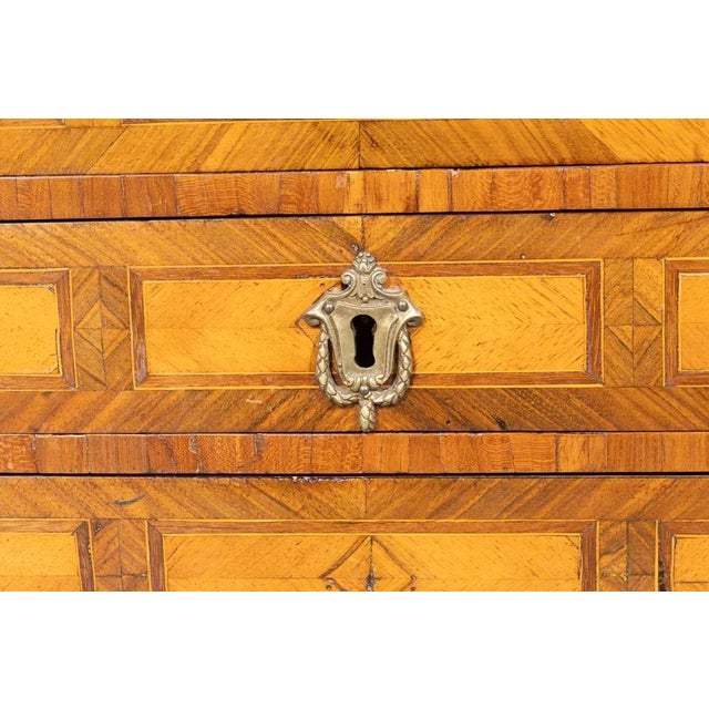Austrian Tulipwood Miniature Chest of Drawers For Sale - Image 9 of 10