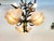 Metal Early Art Nouveau Floral Chandelier with Etched Shell Shaped Glasses, 1890s For Sale - Image 7 of 8