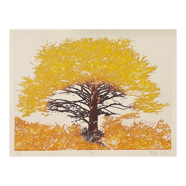 1970s Stephen Luskin Tree Color Etching For Sale