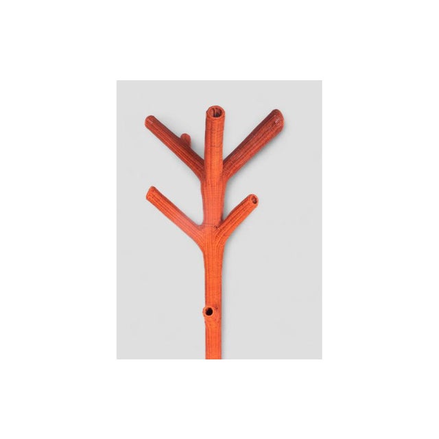 Corallo Coat Rack in Wicker from Gervasoni For Sale - Image 4 of 7