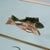 2000 - 2009 Mid-Century Modern Aqua Green Mirrored Glass Nightstands with Brass Fish Handle, 2000, Set of 2 For Sale - Image 5 of 10