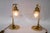 Art Deco Table Lamps with Glass Shades, Vienna, 1920s, Set of 2 For Sale - Image 12 of 14