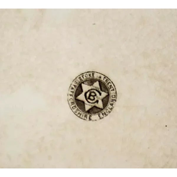 Vintage Staffordshire Farmhouse Serving Pieces - Set of 4 For Sale - Image 10 of 11