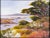 Near Point at Carmel by the Sea California by Dee Botorff "Monterey Cypress" painting on panel by Dee Bottorff...