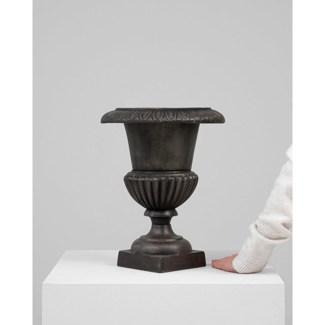 19th Century 19th Century France Black Iron Planter For Sale - Image 5 of 8