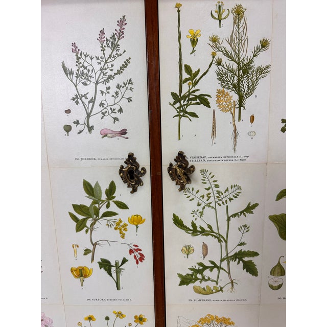 1940’s Swedish Cabinet With Nordens Flora Illustrations For Sale In Boston - Image 6 of 11