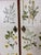 1940’s Swedish Cabinet With Nordens Flora Illustrations For Sale In Boston - Image 6 of 11