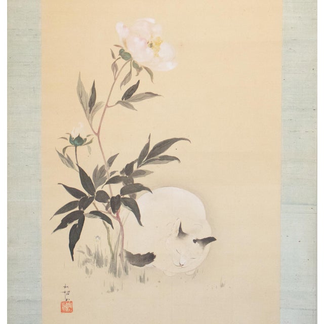 "Sleeping Cat and Peony Flower" by Shuto, Japanese Silk Scroll Watercolor Painting For Sale - Image 4 of 18