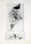 Set of 12 Antique Botanical Photogravure Plates From the First Edition of Nature's Aid to Design (1907) For Sale - Image 10 of 13