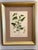 A Suite of Eight English Botanical Engravings, Late 19th Century For Sale - Image 6 of 13