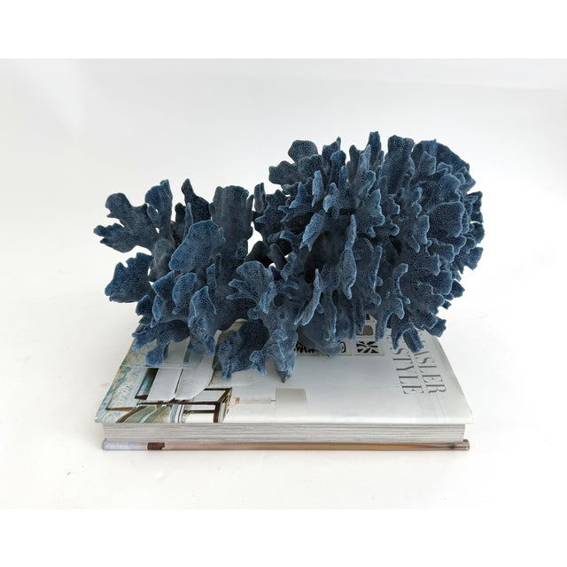 This unusually large natural Blue Coral specimen has a deep blue coloration with a cut and polished base to protect...