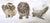 1990s 1990s Arthur Court - Three Rare Discontinued Safari Series With Feet - The Alligator, the Lion, the Elephant - 3 pcs For Sale - Image 5 of 9
