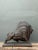 Vintage MCM Textured Plaster Bull Sculpture For Sale - Image 12 of 14