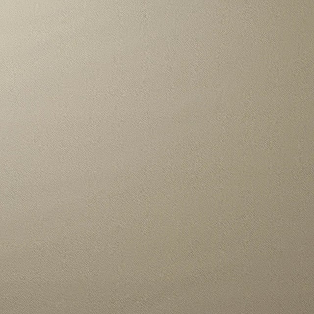 Schumacher Schumacher Indoor/Outdoor Vegan Leather Fabric in Pewter For Sale - Image 4 of 4