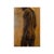 About the painting: this intriguing artwork features a striking depiction of a male figure rendered with exquisite...