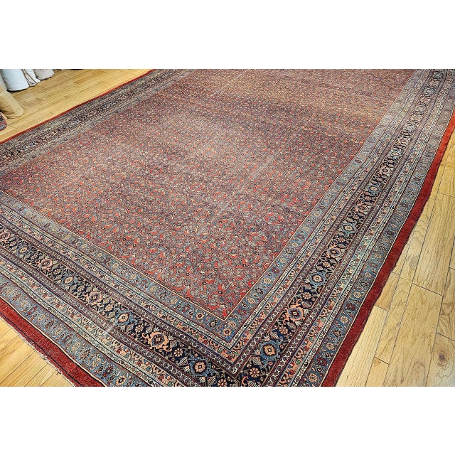 Brown Early 20th Century Bidjar Rug For Sale - Image 8 of 18