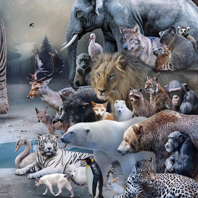 Contemporary The Golden Age II by Marcin Owczarek | Photography of various wildlife in a surreal landscape For Sale - Image 3 of 5