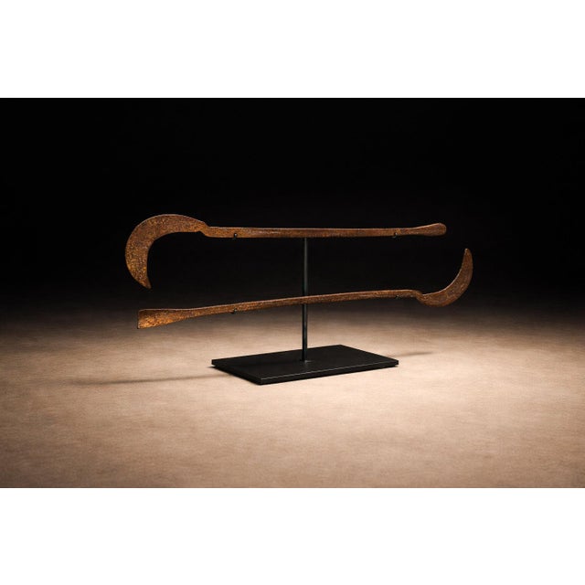 African Magali & Fali Ceremonial Throwing Knives, Northern Cameroon & Northeastern Nigeria, 1920s For Sale - Image 3 of 11