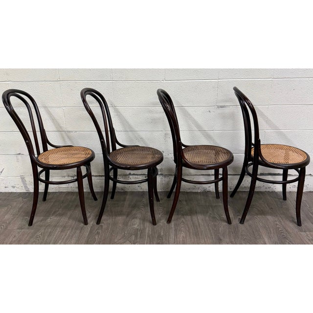 Antique Thonet Style Bentwood Caned Seat Dining Chairs - Set of 4 For Sale - Image 11 of 12