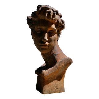 Cast Iron Bust of Michelangelos David, 1960 For Sale