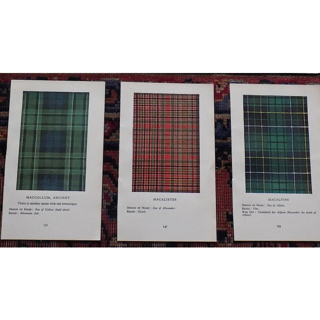 Vintage Mid 20th Century Scottish Tartan Lithographs - Set of 15 For Sale - Image 4 of 9