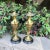 Late 19th Century Etruscan Bronze Doré Antique Urns on Marble Bases - a Pair For Sale In Sacramento - Image 6 of 10