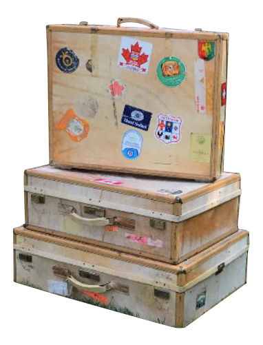 luggage trunks for sale
