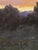 This oil on panel painting captures the tranquil beauty of a sunrise over a high valley, with soft hues of pink and orange...