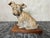 Terracotta Dog Figurine by R. Pollin, 1930 For Sale - Image 18 of 18