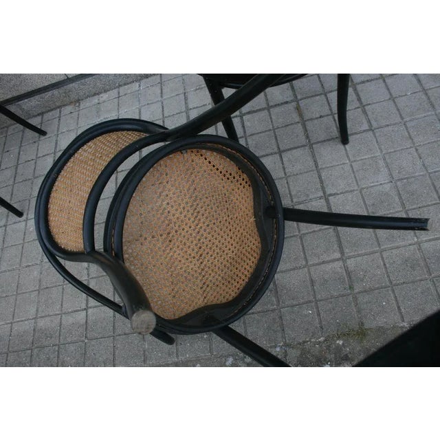 B9 Chair by August Thonet, Former Czechoslovakia, 1920s For Sale - Image 9 of 10