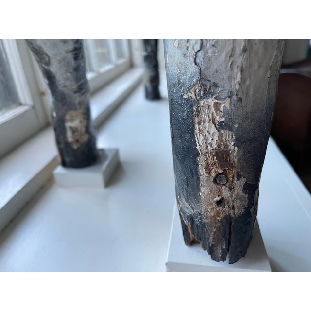 Antique French Carousel Dog, Circa 1890 For Sale - Image 11 of 18