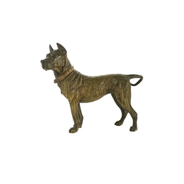 Traditional Original Bronze Pit Bull Sculpture For Sale - Image 3 of 9