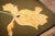 This elegant Antique English Needlepoint rug, dating to circa 1900, is a classic example of turn-of-the-century...