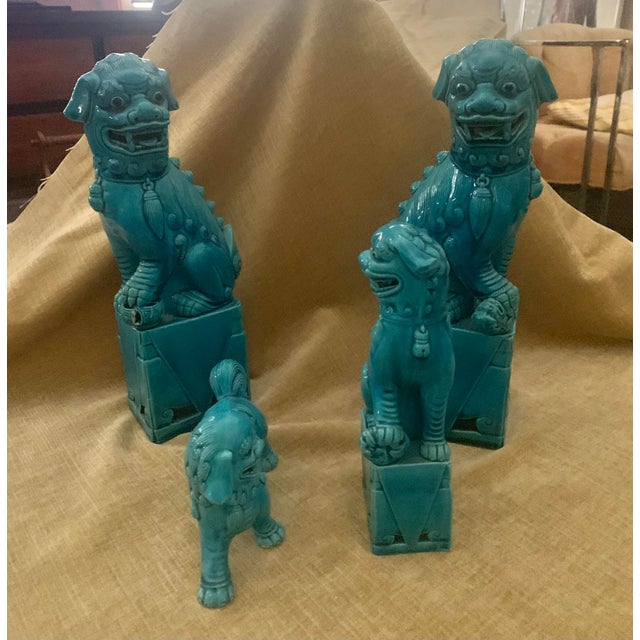 Early 20th Century Foo Dog Turquoise Collection - Set of 4 For Sale - Image 4 of 7