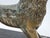 Antique Medieval Bronze Sculpture of a Lion For Sale In Palm Springs - Image 6 of 18