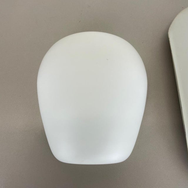 Shell Wall Light attributed to Wilhelm Wagenfeld for Peill & Putzler, Germany, 1950s For Sale - Image 15 of 18