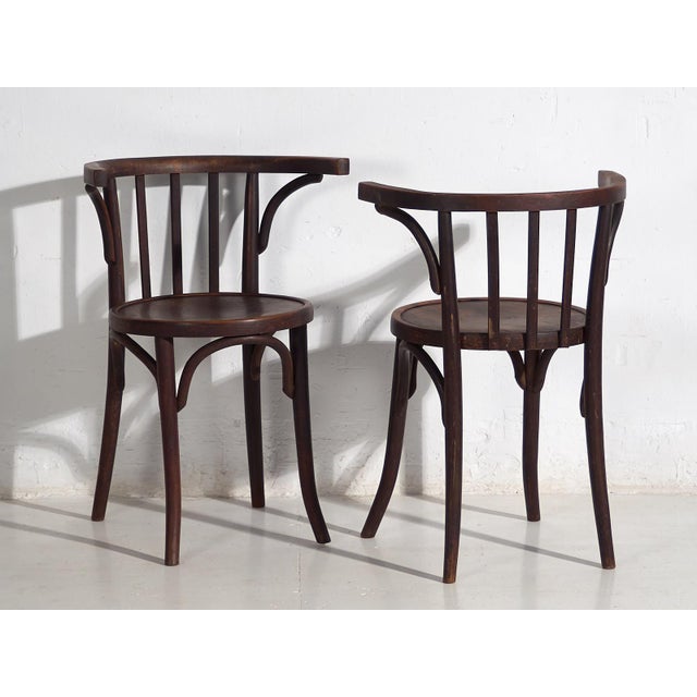 1920s Armchairs from Thonet, 1920s, Set of 4 For Sale - Image 5 of 18