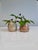 1980s Studio Ceramic Vases by Helma Klett, Germany, 1980s, Set of 2 For Sale - Image 5 of 15