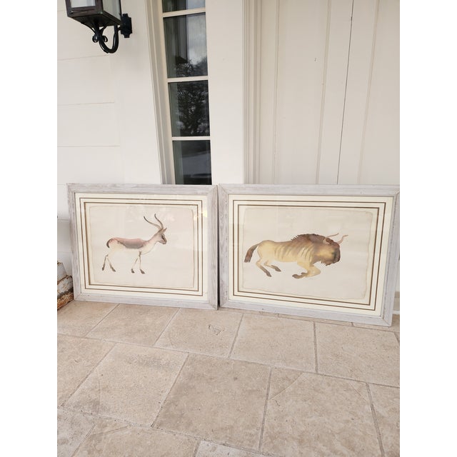 Pair of African Game Animal Watercolor Paintings For Sale - Image 11 of 12