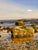 Contemporary Photo of Orient Point, Ny on Plexiglass - Unknown Artist For Sale - Image 4 of 4