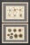Illustration Starfish & Sea Urchins – Set of 2 Custom Framed – Antique Marine Life Engravings by Lamarck, Paris 1791 For Sale - Image 3 of 5