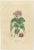 These exquisite engravings from the 'Dictionnaire Classique des Sciences Naturelles' epitomize the symbiosis of art and...